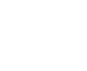 WBIZ logo